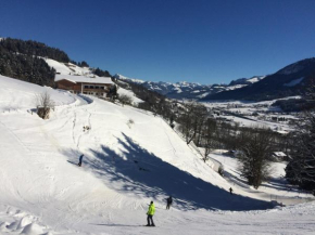Franbichl, Brixen Im Thale, Österreich